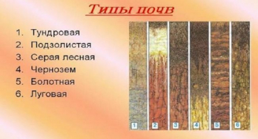 Tabulka zonálních půdních typů, jejich charakteristiky a vlastnosti